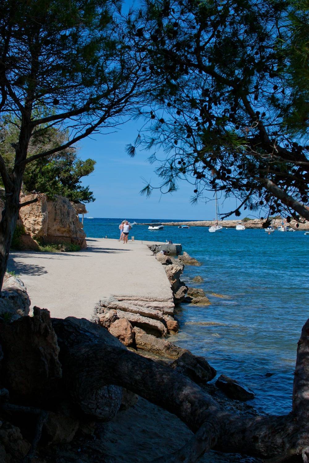 Port des torrent y Cala de Bou