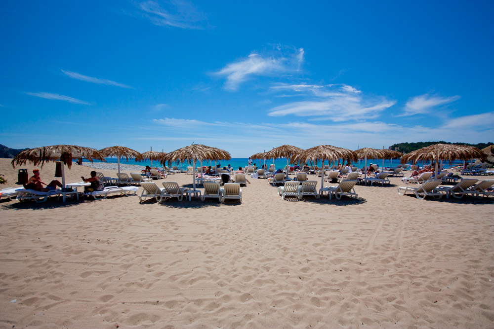 tropicana_IMG_7882