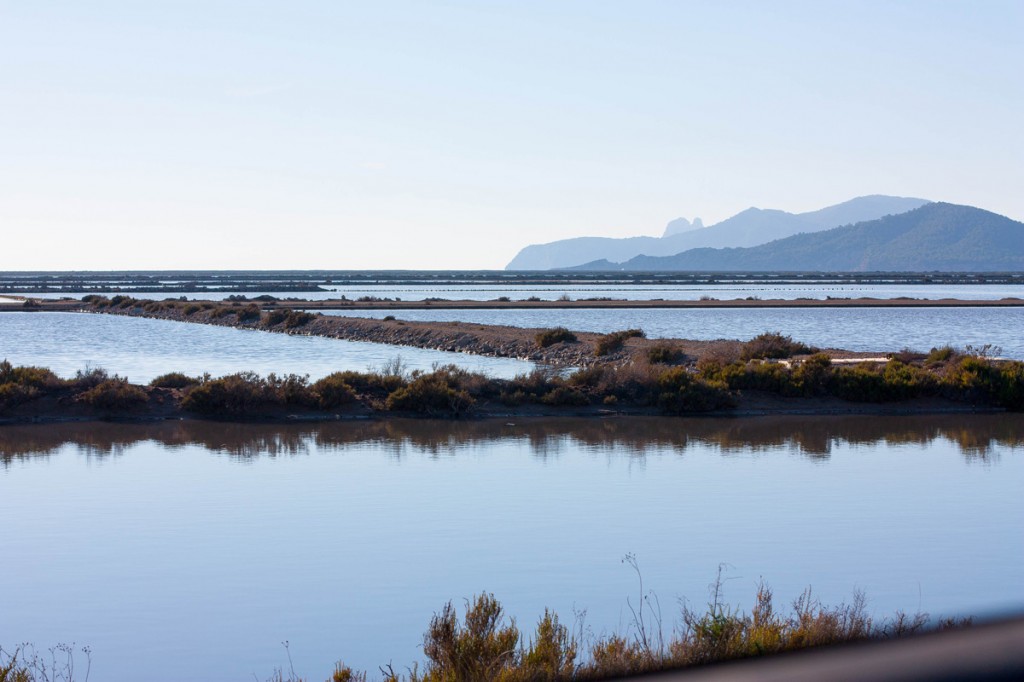 Estanques de Ses Salines Ibiza