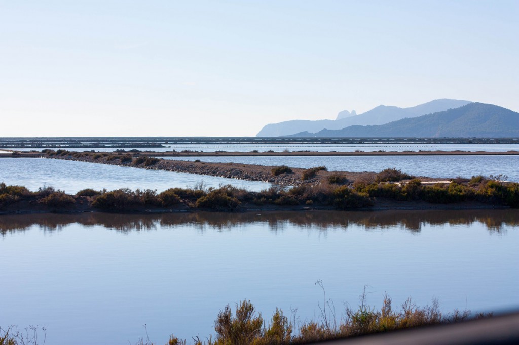 Estanques de Ses Salines Ibiza