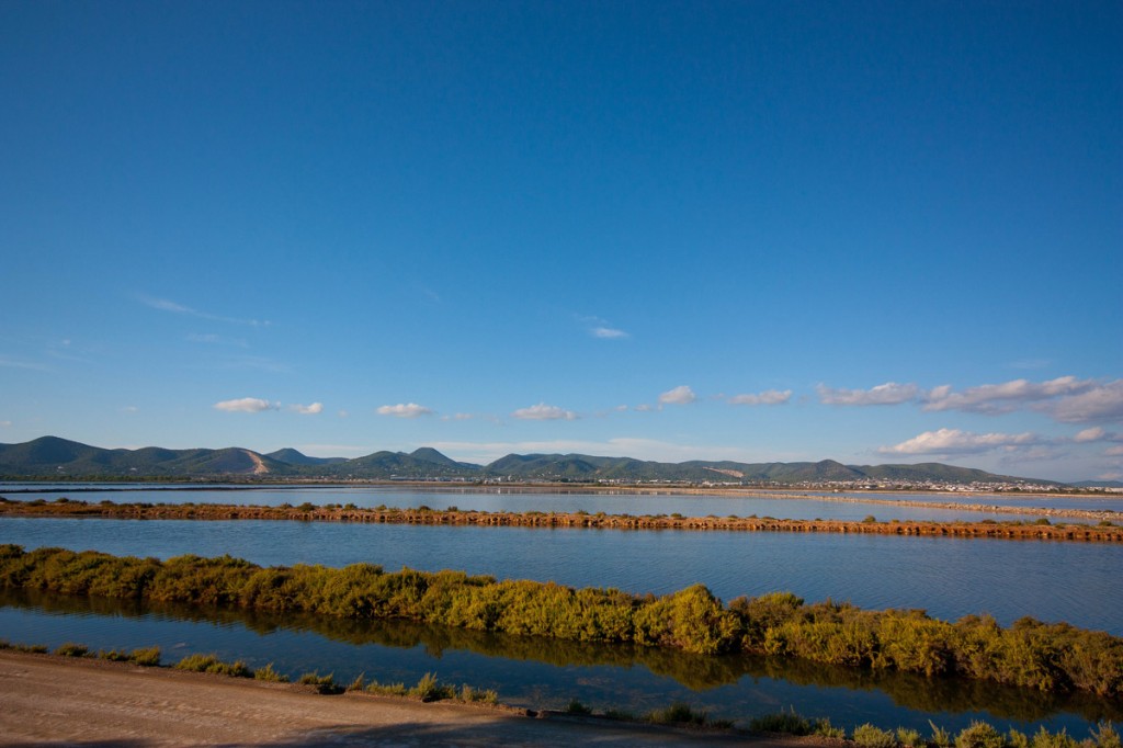 Estanques de Ses Salines Ibiza