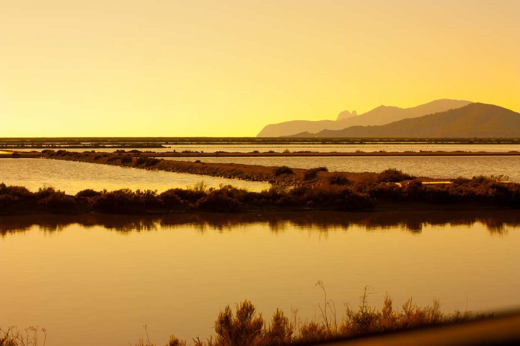 Visiting Ses Salines Natural Park