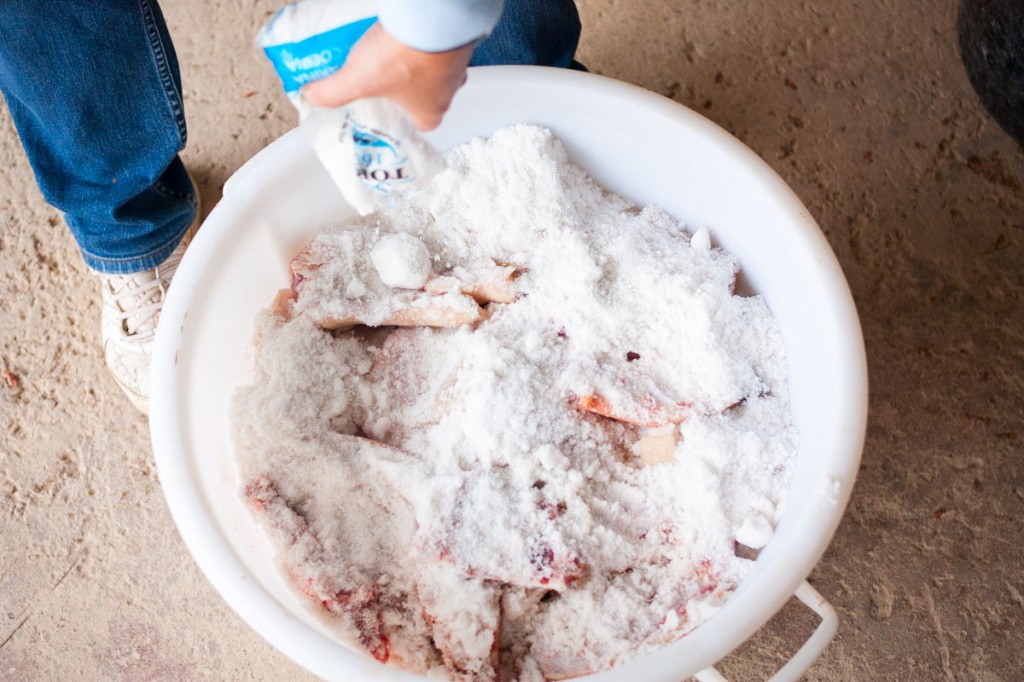 El tocino se sala para guardarlo durante todo el invierno