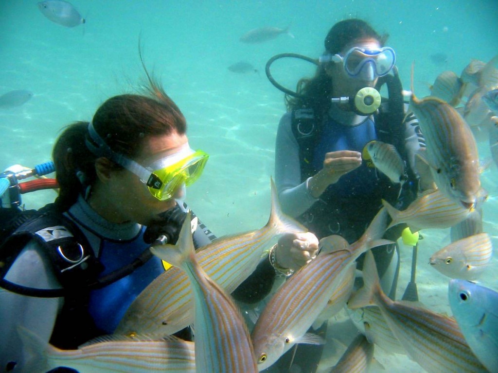 Giada feeding fish