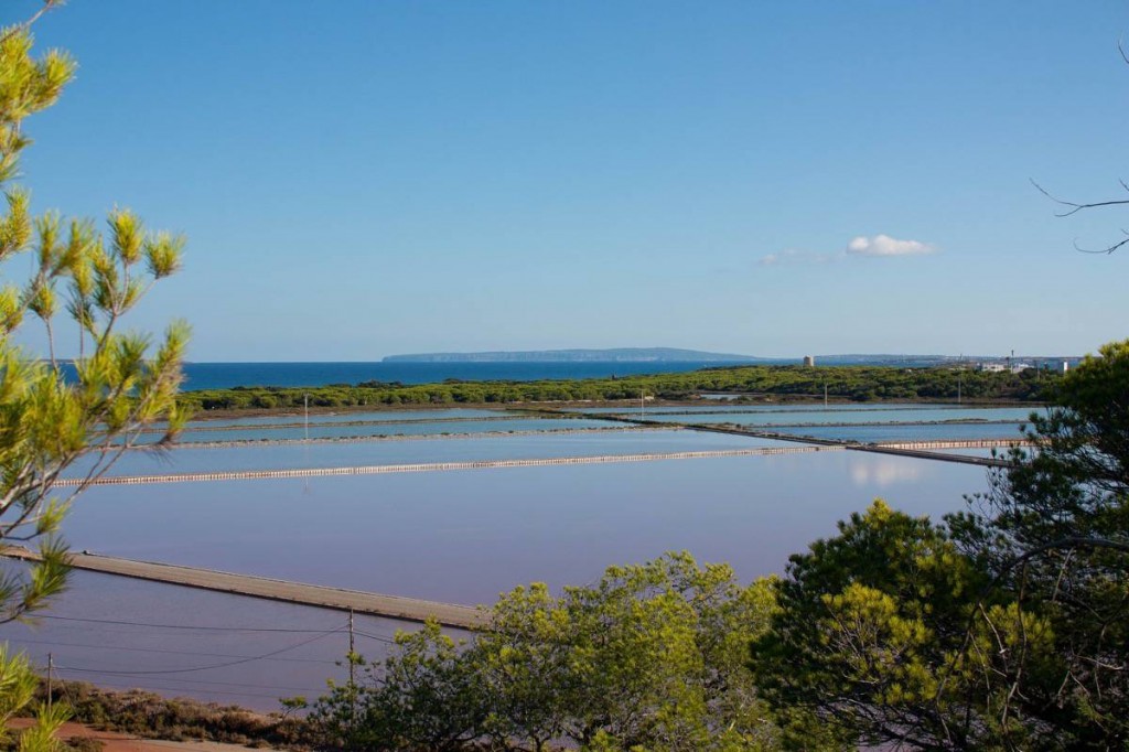 Ses Salines